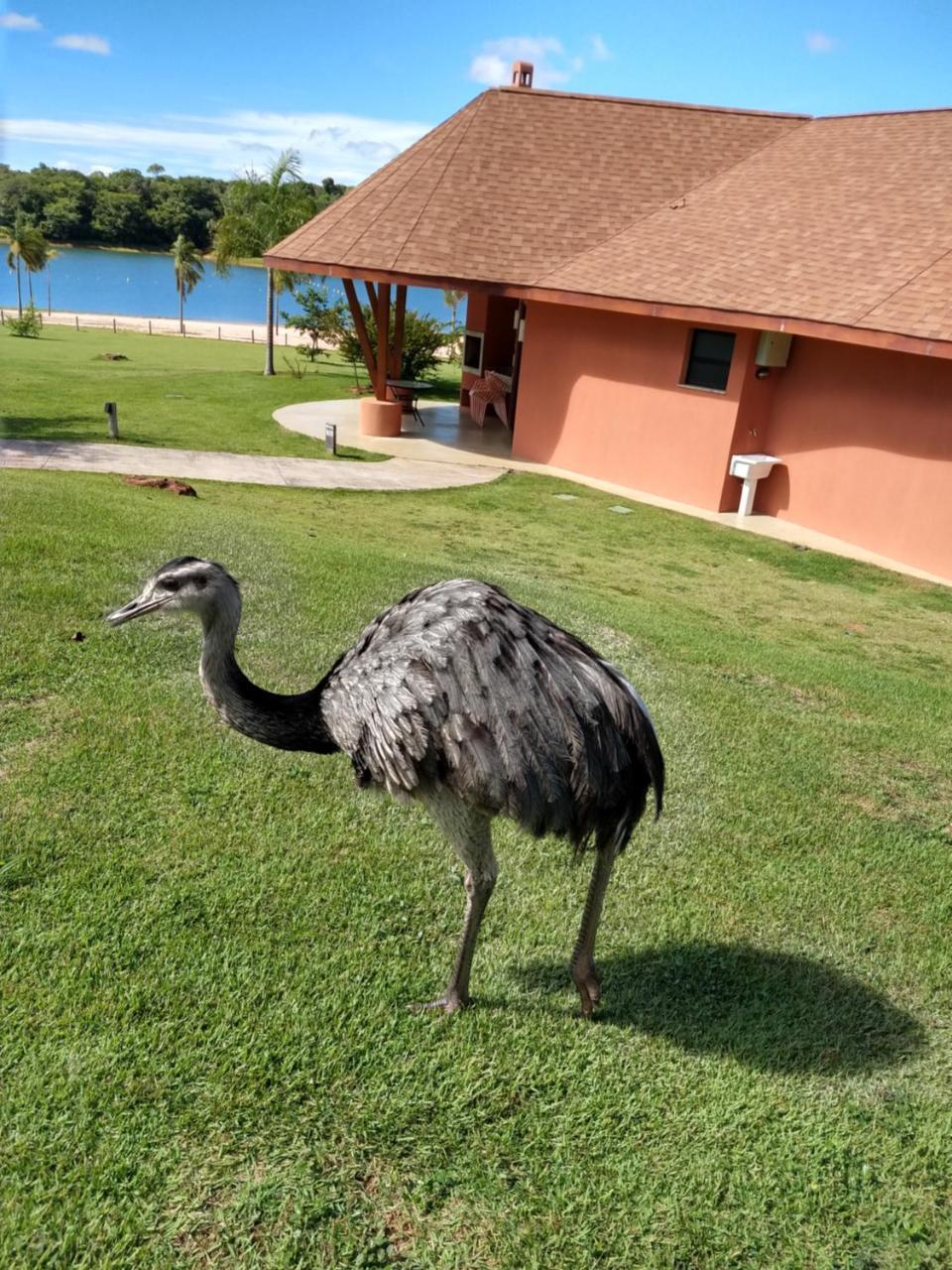 Malai Manso Cotista - Resort Acomodacoes 4 Hosp (Adults Only) Retiro  Eksteriør billede